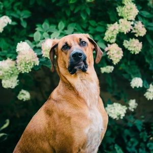 Meet your Posher, Kyla